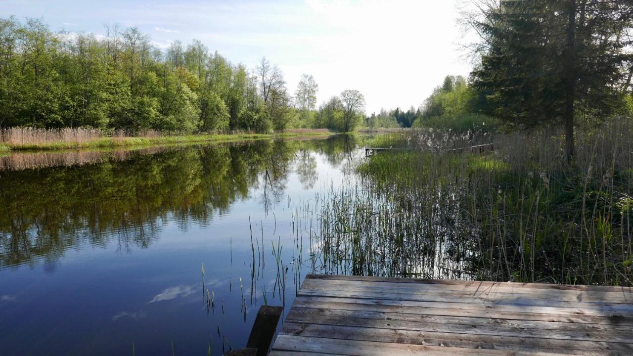 Allika-Loeoevi Sauna Cabin Hotel Suure-Jaani Exterior photo